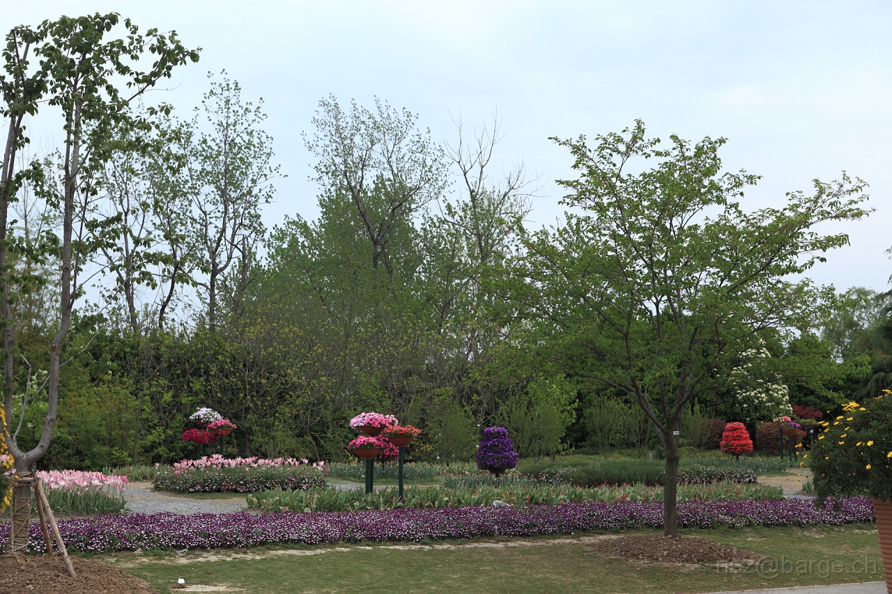 EOS 5D Mark II16_04_20134950.JPG